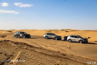 极限挑战实录：bZ5水陆空三栖试炼全记录