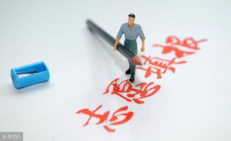 志愿填报专业怎么选？一个过来人的真实经历分享