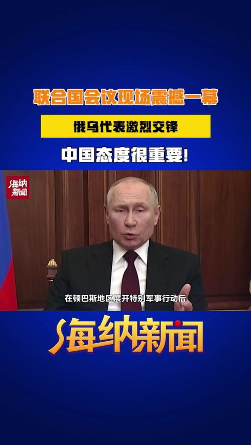 联合国会议室中的俄乌代表