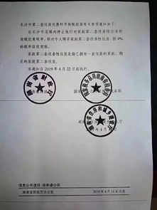 办公室内工作人员正在查看规章制度文件