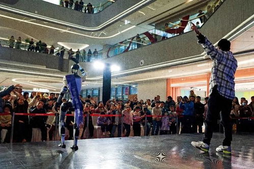 宇树科技机器人在商场服务场景