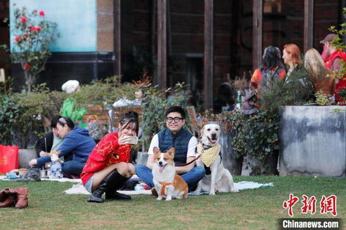 人们在街头享受和平生活