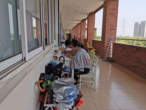 学生在课桌上奋笔疾书