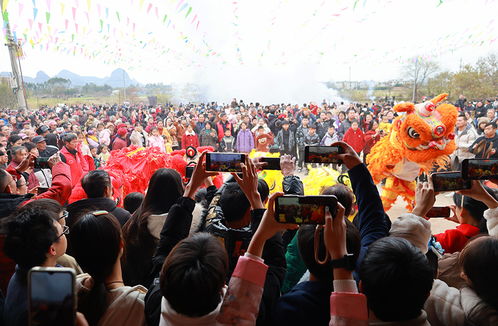 公众围观手机拍摄现场