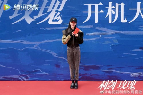 电视剧利剑玫瑰概念海报