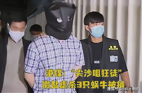 微博热议留英博士迷奸案