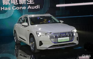 奥迪展台展示燃油车与电动车同台展出