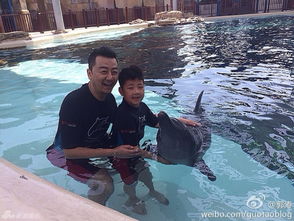 年轻人在海洋馆与海豚互动的快乐场景