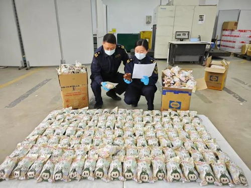 海关查获假冒Labubu商品现场图