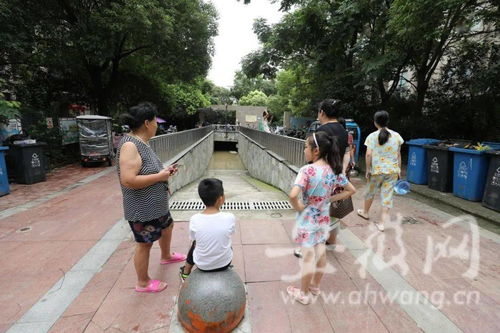 暴雨突袭，小区车库被淹4人挪车失联！凌晨3点通知挪车引争议