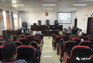 法院审理饮酒事故案件现场图