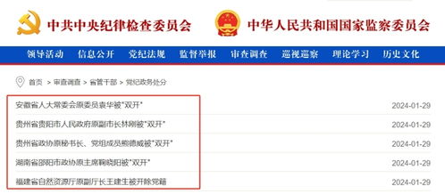 中纪委官网截图