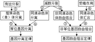 AGI概念图示意图