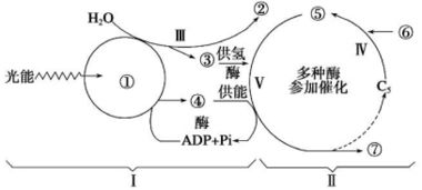 AI伦理训练过程示意图