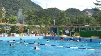 胡春华辽宁调研：县域富民产业新机遇，乡村新业态迎来春天