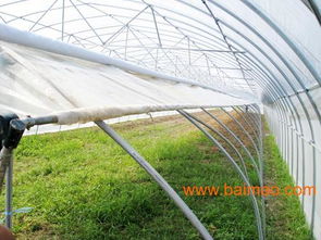 青年学子在科技感十足的蔬菜大棚学习种植