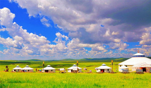 内蒙古大草原我们来了｜一场说走就走的旅行