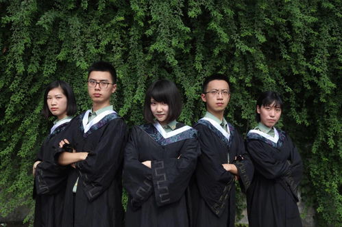 谁能拒绝这样的毕业季礼物？微博校园用回忆与创意点亮青春