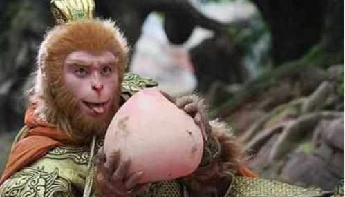 孙悟空扮演者在山上吃东西的搞笑画面