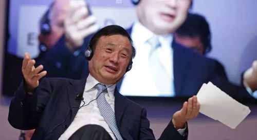 郭品超坐在田埂上微笑望向远方