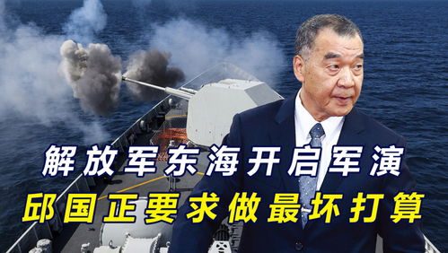 华人站在五星红旗下等待撤离