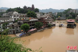 新店开业日突遭暴雨水灾，男子损失惨重！背后真相令人唏嘘