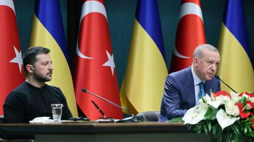 泽连斯基愿与普京会面，但前提条件引关注｜俄乌谈判走向何方？