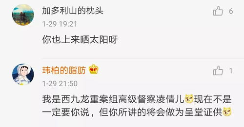 微博评论区截图 粉丝互撕画面