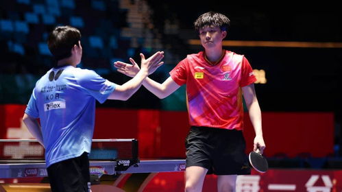 王楚钦与王皓在比赛中庆祝胜利