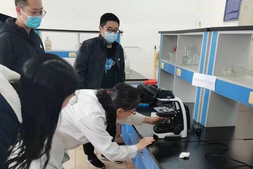 高校安全巡检人员在校园内检查树木健康状况