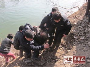 老人摔倒水中挣扎 民警未搀扶被投诉？背后真相让人深思