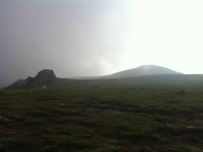 没想到走路也能这么难？我亲身经历告诉你真相！