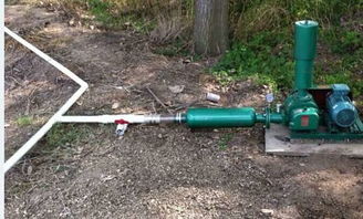 北京男子私改地下室养鱼池，楼上邻居被“锦鲤”整疯？真实事件揭秘