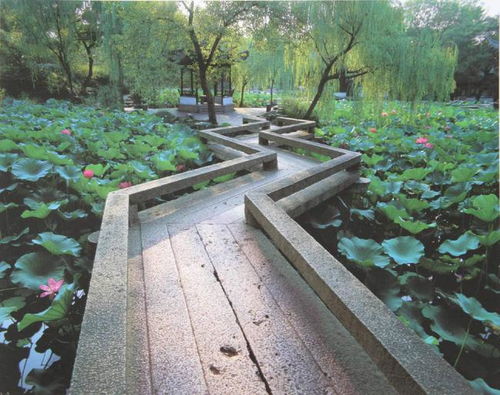 苏州园林小桥流水的画面