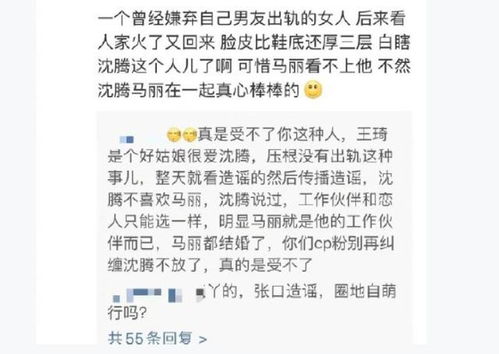 网友评论截图示意图
