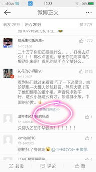 微博评论截图示意图