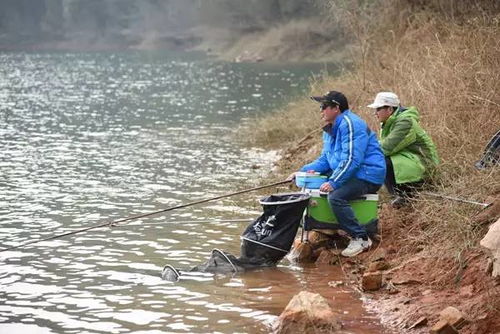几名钓鱼爱好者正在湖边垂钓