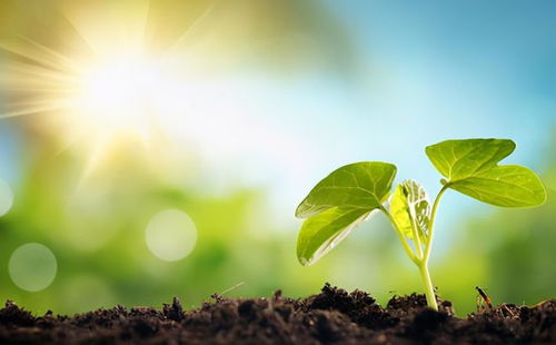 夏至如约而至，阳光最长的一天，你准备怎么过？