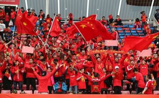 球迷手持城市旗帜呐喊助威