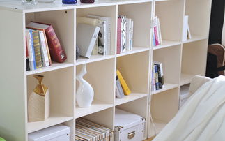 书架上的Labubu收藏