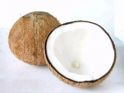 椰子水试饮过程特写图片