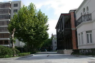 上戏内蒙古委培班2021年终止招生，背后真相令人唏嘘