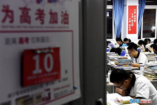 高考查分倒计时！6月23日起，我这样准备迎接分数出炉的那些事儿