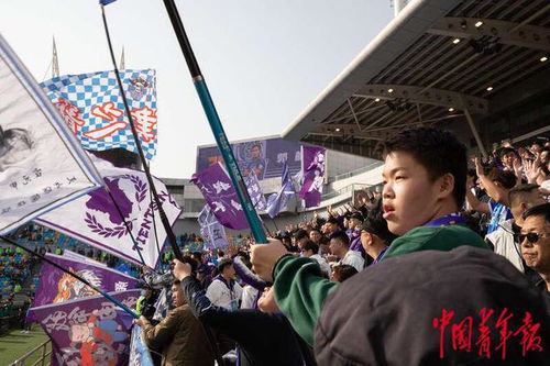 球迷在看台上挥舞旗帜助威