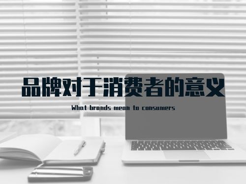 罗马仕品牌LOGO与消费者对话场景