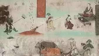 古代驿马运送荔枝插画