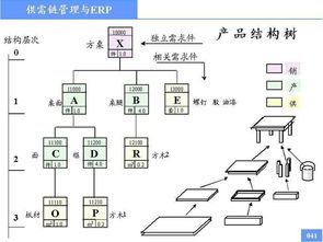 专家分析企业管理问题