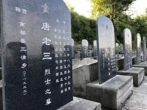 整齐排列的无名小墓碑