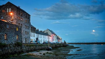 震惊世界！爱尔兰旧址惊现近800幼童遗骨，背后真相令人痛心