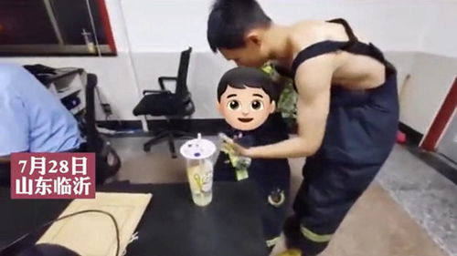 暴雨夜偶遇流浪狗相拥取暖，我决定带它们回家